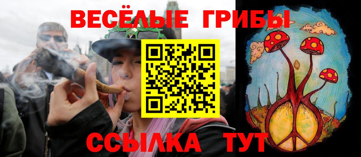 Галлюциногенные грибы MAGIC MUSHROOMS  Вход с VPN  Якутск  Псилоцибиновые грибы Cubensis 